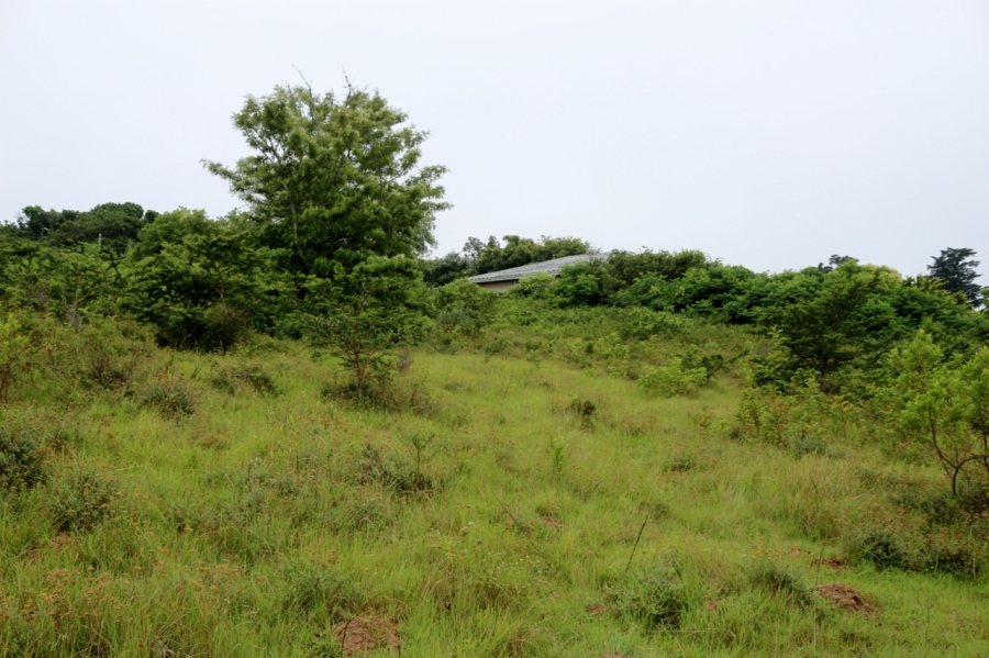 0 Bedroom Property for Sale in Bathurst Eastern Cape